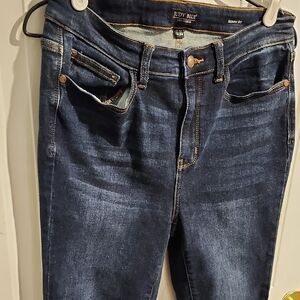 Judy Blue Women's Indigo Skinny Jeans